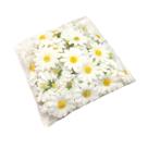 Flor Mini Margarida Artificial Pacote Com 100 Unidades Flor Decorações Artesanatos