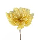Flor Montada 1 Haste Alvejada Desidratada Decoração Arranjo