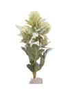 Flor Sementes Silvestres Flocadas Verdes 35 cm