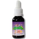 Floral em Gotas Hiperatividade para Cães e Gatos - 30ml - Animal Flower