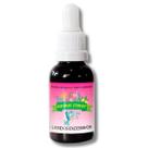 Floral em Gotas Latidos Excessivos para Cães e Gatos - 30ml - Animal Flower