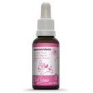 Floral pet cachorro e gato Agressividade BioFlorais. Floral Veterinário Natural trata animais agressivos