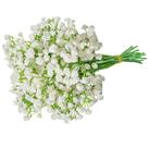 Flores Artificiais ABAJI de Mosquitinho Gypsophila Toque Real para Casamento Festa Decoração de Jardim e Casa