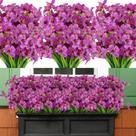 Flores artificiais AmyHomie Resistente a UV 20 pacotes roxos