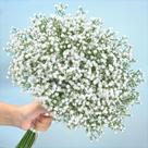 Flores artificiais Artflower Babys Breath 20 unidades brancas Flores artificiais Artflower Babys Breath 20 unidades brancas