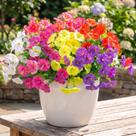 Flores Artificiais bakkiet 12 Pacotes Resistentes a UV para Exteriores Flores Artificiais bakkiet 12 Pacotes Resistentes a UV para Exteriores