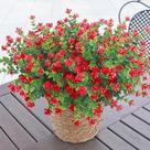 Flores artificiais BCBLF para exterior 12 pacotes vermelhos