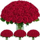 Flores artificiais BLEUM CADE 100 unidades de rosas de veludo vermelho 51 cm
