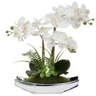 Flores artificiais Briful Orchids White Phalaenopsis x15