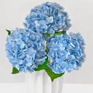 Flores artificiais Cherica Real Touch Blue Hydrangea x3
