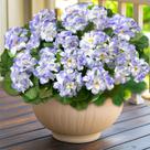 Flores artificiais de gerânio TURNMEON para decoração ao ar livre x4