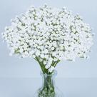 Flores artificiais de mosquitinho MAQIHAN 52 cm brancas, 6 unidades