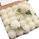 Flores artificiais Floroom Dahlia 25 unidades de rosas de espuma de marfim