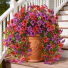 Flores artificiais INQCMY Faux Hanging Plants, 2 pacotes