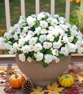 Flores artificiais Ivydale Camellia White 3 pacotes ao ar livre