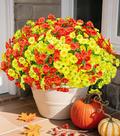 Flores artificiais Ivydale Morning Glory 12 pacotes para atividades ao ar livre