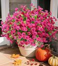 Flores artificiais Ivydale Silk Morning Glory 12 pacotes