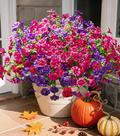 Flores artificiais Ivydale Silk Morning Glory 12 pacotes