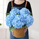 Flores artificiais JINWOE Blue Hydrangea 5 unidades de 50 cm de seda Flores artificiais JINWOE Blue Hydrangea 5 unidades de 50 cm de seda