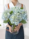 Flores artificiais JINWOE Hortênsia azul claro x4 com vaso Flores artificiais JINWOE Hortênsia azul claro x4 com vaso