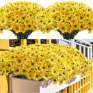 Flores artificiais Kinisty Resistente a UV 20 pacotes amarelos