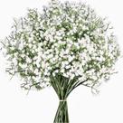 Flores artificiais LYLYFAN Babys Breath Gypsophila x6