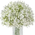 Flores Artificiais Mosquitinho Sukh 10 Peças 52 cm de Comprimento