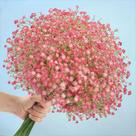 Flores artificiais N&T NIETING Babys Breath 10 unidades rosa