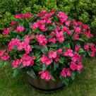 Flores artificiais Nigirior Fake Impatiens 6 pacotes ao ar livre