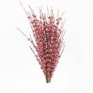 Flores artificiais NOLAST Jasmine 10 hastes 75cm Fushia Flores artificiais NOLAST Jasmine 10 hastes 75cm Fushia