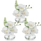 Flores artificiais Oaise White Orchids com vasos de vidro transparente Flores artificiais Oaise White Orchids com vasos de vidro transparente