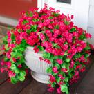 Flores artificiais penduradas e videiras HyeFlora Hotpink Orchid x2 Flores artificiais penduradas e videiras HyeFlora Hotpink Orchid x2