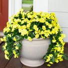 Flores artificiais penduradas e videiras HyeFlora Yellow Orchid x2