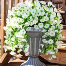 Flores artificiais penduradas Ivydale Morning Glory, 2 peças, bege