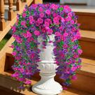 Flores artificiais penduradas MyCoats Morning Glory 4 unidades roxas Flores artificiais penduradas MyCoats Morning Glory 4 unidades roxas