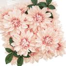 Flores artificiais TINGE TIME Silk Dahlia, 20 unidades, rosa empoeirado