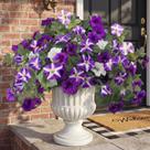 Flores artificiais YIBUKIY Faux Petunias Silk, 2 peças, roxo, branco