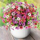 Flores artificiais ZFProcess Faux Plants Outdoor 12 pacotes