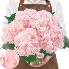 Flores Artificiales Serwalin 5PCS Hortensia 3D Tacto Real