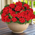 Flores de gerânios artificiais TURNMEON para decoração de outono ao ar livre