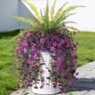 Flores e samambaias artificiais penduradas Hrobek Daisy 3 peças