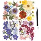 Flores prensadas Nuanchu Dried Flower Crafts com pinça 68 unidades