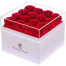 Flores preservadas Eterfield Forever Flowers 16 rosas vermelhas