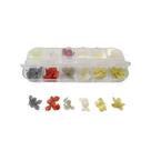 Flores Secas Encapsulamento Unhas Decoração Cores Manicure Flores Secas Encapsulamento Unhas Decoração Cores Manicure