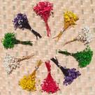 Flores secas para bebês SCINTILLA Ivory Mixed 120 unidades