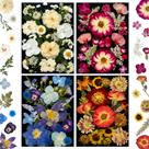 Flores secas prensadas MIKIYA 92 unidades para artesanato em resina e muito mais Flores secas prensadas MIKIYA 92 unidades para artesanato em resina e muito mais
