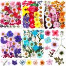 Flores secas prensadas Nuanchu 167 unidades para artesanato DIY