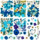 Flores secas prensadas Nuanchu 167 unidades para artesanato DIY