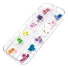 Flores Secas Unhas Decoração Encapsulamento Caixa Uv Led
