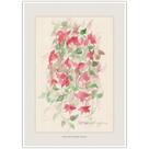 Flores Vermelhas Maria Sem Vergonha Arte Aquarela para Quadro Decorativo Decoração Elegante A4 Flores Vermelhas Maria Sem Vergonha Arte Aquarela para Quadro Decorativo Decoração Elegante A4